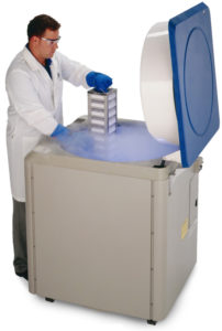 Laboratory work in protective gear adding dewar to cryogenic storage freezer