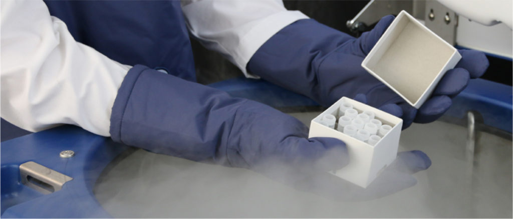scientist in rubber navy cryogenic gloves handling box of samples