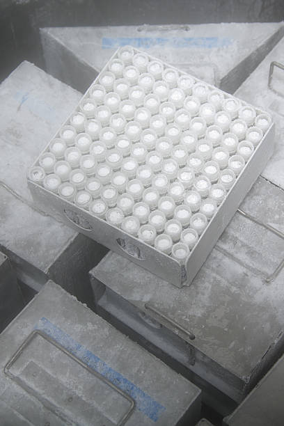 Deep frozen samples in a nitrogen cooled freezer